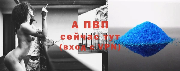 дмт Тайга