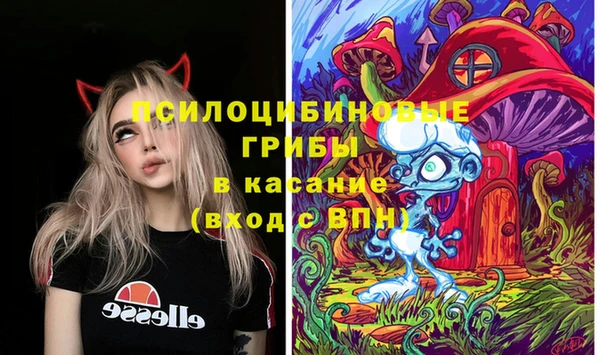 гидропоника Алзамай