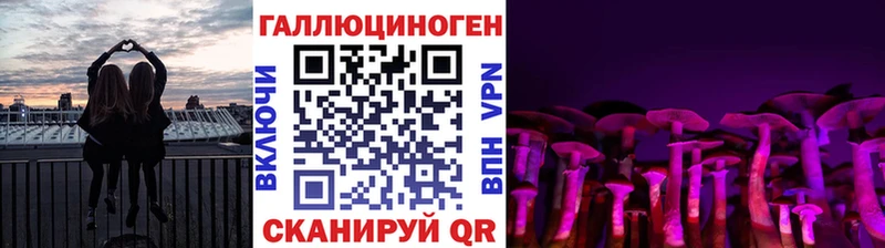 Псилоцибиновые грибы прущие грибы  Северская 